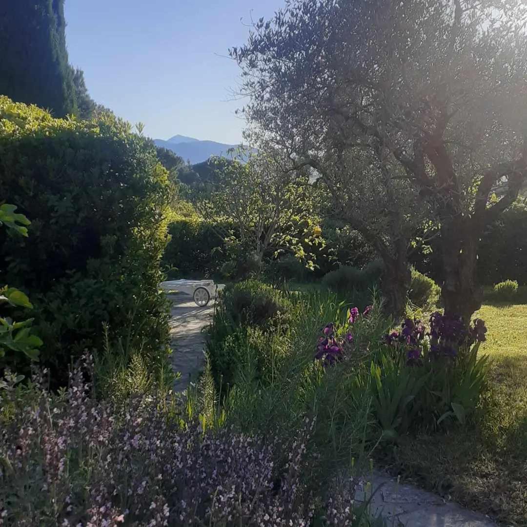 Les Verveines De Vaison Buitenkant foto