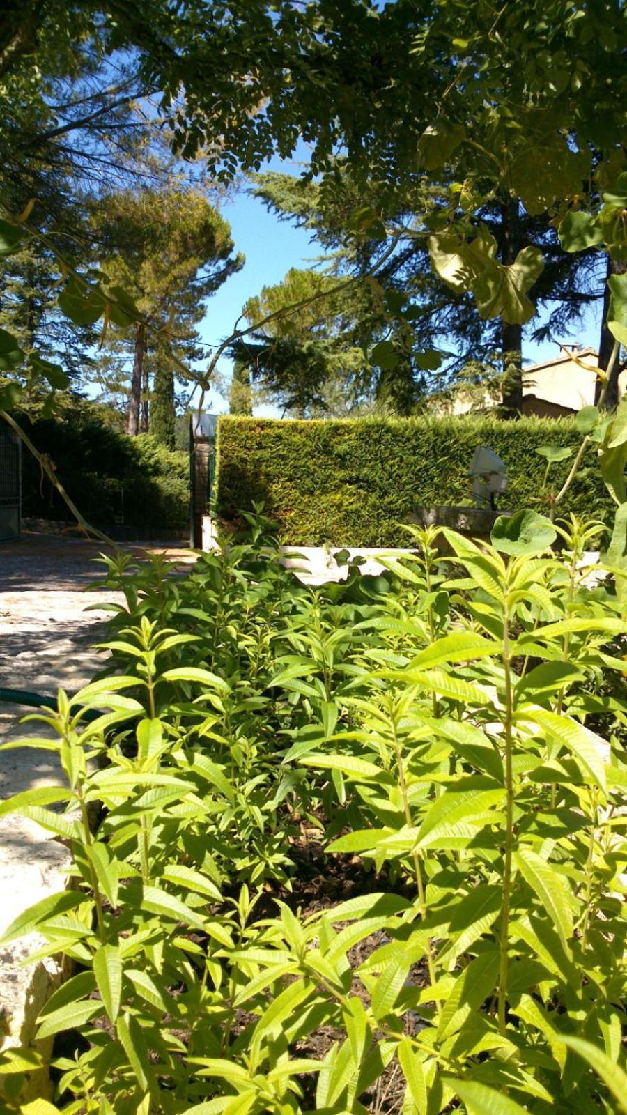 Les Verveines De Vaison Buitenkant foto